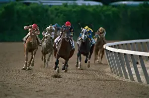 Horses Coming to End of Race