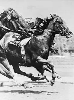 Horses Competing in Race