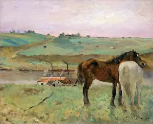 Horses In A Meadow By Degas