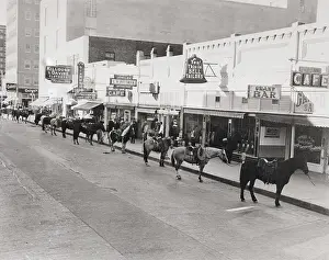 Parked Prints: Horses Parked At Parking Meters