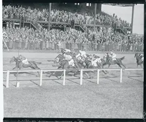 Horses Racing on Track