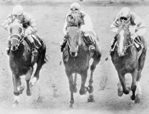 Hialeah Prints: Horses Running in A Race
