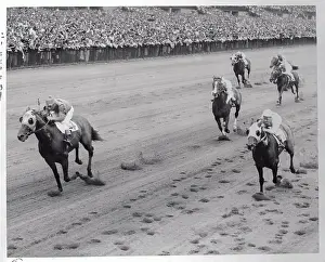 Horses Running in A Race