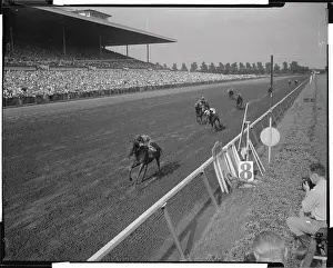 Horses Running in A Race