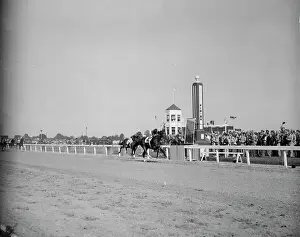 Horses Running in A Race