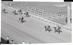 Louisville Prints: Horses Running in A Race