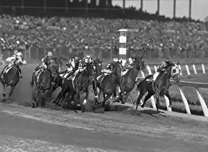 Fast Prints: Horses Running on a Track