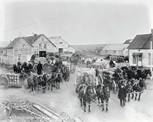 Nome Prints: Horses and Wagons at Gold Rush Camp