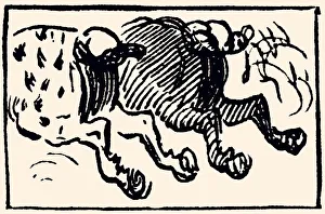Images Dated 11th October 2018: Horses (XXXL)
