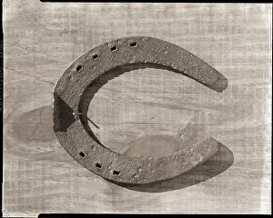 Horseshoe Prints: Horseshoe Hanging on a Nail