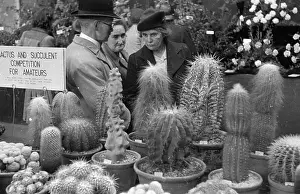 Exhibitions And Displays Prints: Horticultural Show