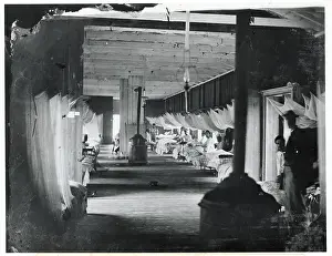 Mosquito Prints: Hospital In Civil War; Mosquito Netting