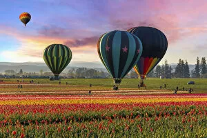 Images Dated 1st April 2016: Hot Air Balloons at Sunrise