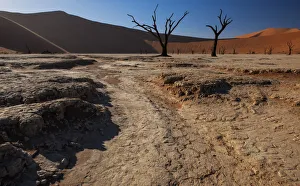 Namibia Collection: Hot desert sun rises over the iconic dead tree landscape of Deadvlei in the Namib-Naukluft
