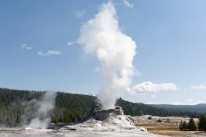 Hot spring with a cone geyser, steam column, water vapor, Castle Geyser, Castle-Grand Area, Upper Geyser Basin