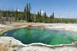 Hot spring with green water, Abyss Pool, West Thumb Geyser Basin, Yellowstone National Park, Wyoming