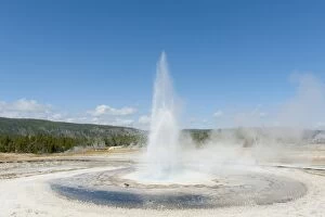 Hot spring, water fountain, eruption, geyser, Sawmill Geyser, Castle-Grand Area, Upper Geyser Basin