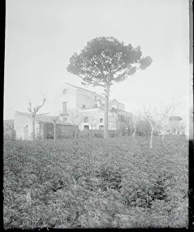 Pompeii Prints: House Standing Idly in Shrubbery