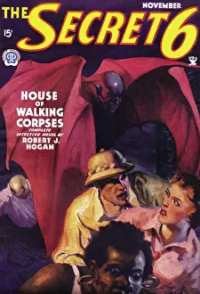 Demon Prints: House of Walking Corpses
