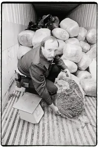 Houston Prints: Houston Policeman Sweeping Marijuana