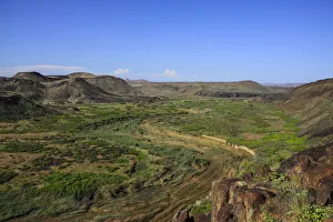 Images Dated 2nd May 2011: Huab swamp, Damaraland, Namibia, Africa