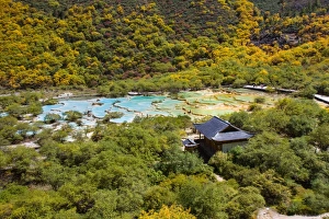 Images Dated 21st September 2008: HuangLong limestone ponds, SiChuan, China