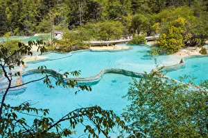Images Dated 21st September 2008: HuangLong limestone ponds, SiChuan, China