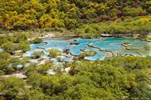 Images Dated 21st September 2008: HuangLong limestone ponds, SiChuan, China