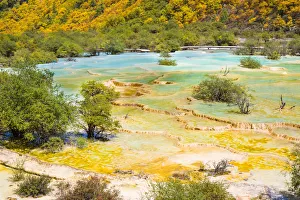Images Dated 21st September 2008: HuangLong limestone ponds, SiChuan, China