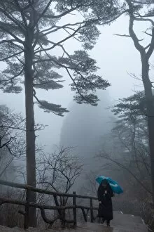 Images Dated 18th January 2017: Huangshan (Yellow Mountains), Eastern China