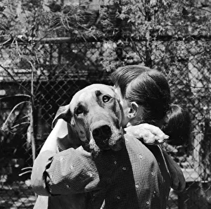 Images Dated 9th April 2019: Hug A Dog