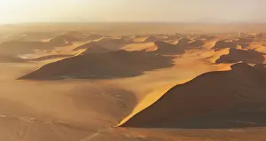 Dunes Prints: Huge sand dunes in dawn light in the Namib desert near Sossusvlei in Namibia, Africa