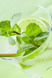 Images Dated 14th February 2013: Hugo cocktail with lime and mint