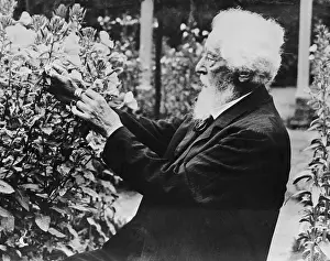 Botanist Prints: Hugo de Vries in His Garden