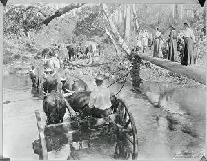 Hullock Team Crossing River
