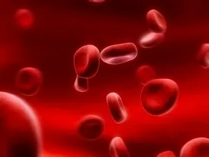 Images Dated 11th November 2018: Human red blood cells, artwork