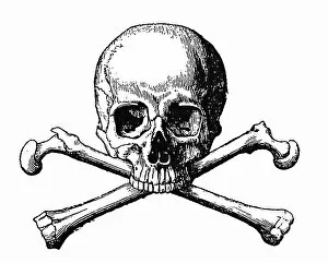 Images Dated 7th March 2016: Human Skull and Bones