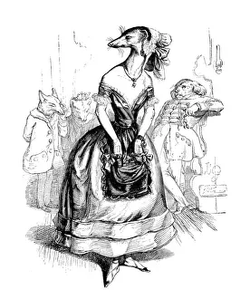Humanized animals illustrations