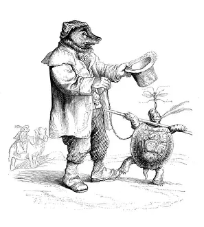Humanized animals illustrations: Bear and turtle
