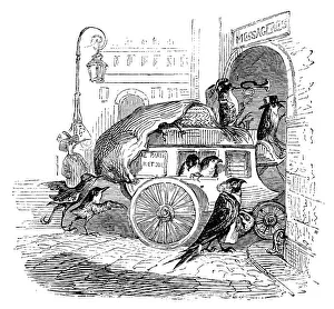Images Dated 4th January 2017: Humanized animals illustrations: bird carriage