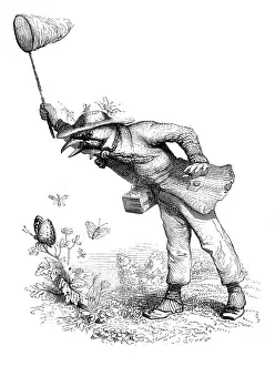 Humanized animals illustrations: Bird catching butterflies