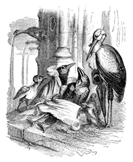 Images Dated 4th January 2017: Humanized animals illustrations: Bird dying