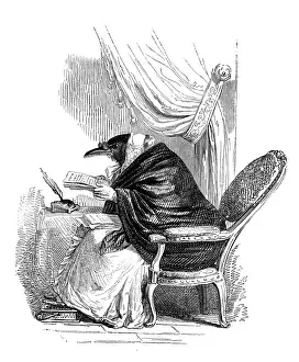 Humanized animals illustrations: Bird reading