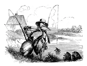 Humanized animals illustrations: Birds fishing