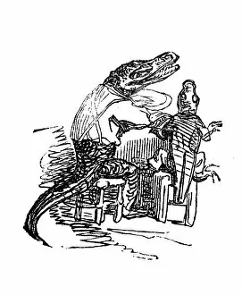 Images Dated 4th January 2017: Humanized animals illustrations: Crocodile