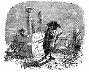 Images Dated 4th January 2017: Humanized animals illustrations: Crow in cemetery