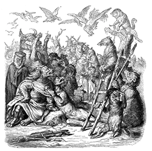 Images Dated 4th January 2017: Humanized animals illustrations: Death Penalty