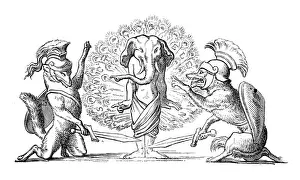 Humanized animals illustrations: Decoration