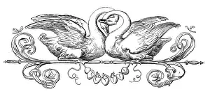 Humanized animals illustrations: Decoration