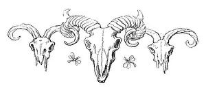 Humanized animals illustrations: Decoration